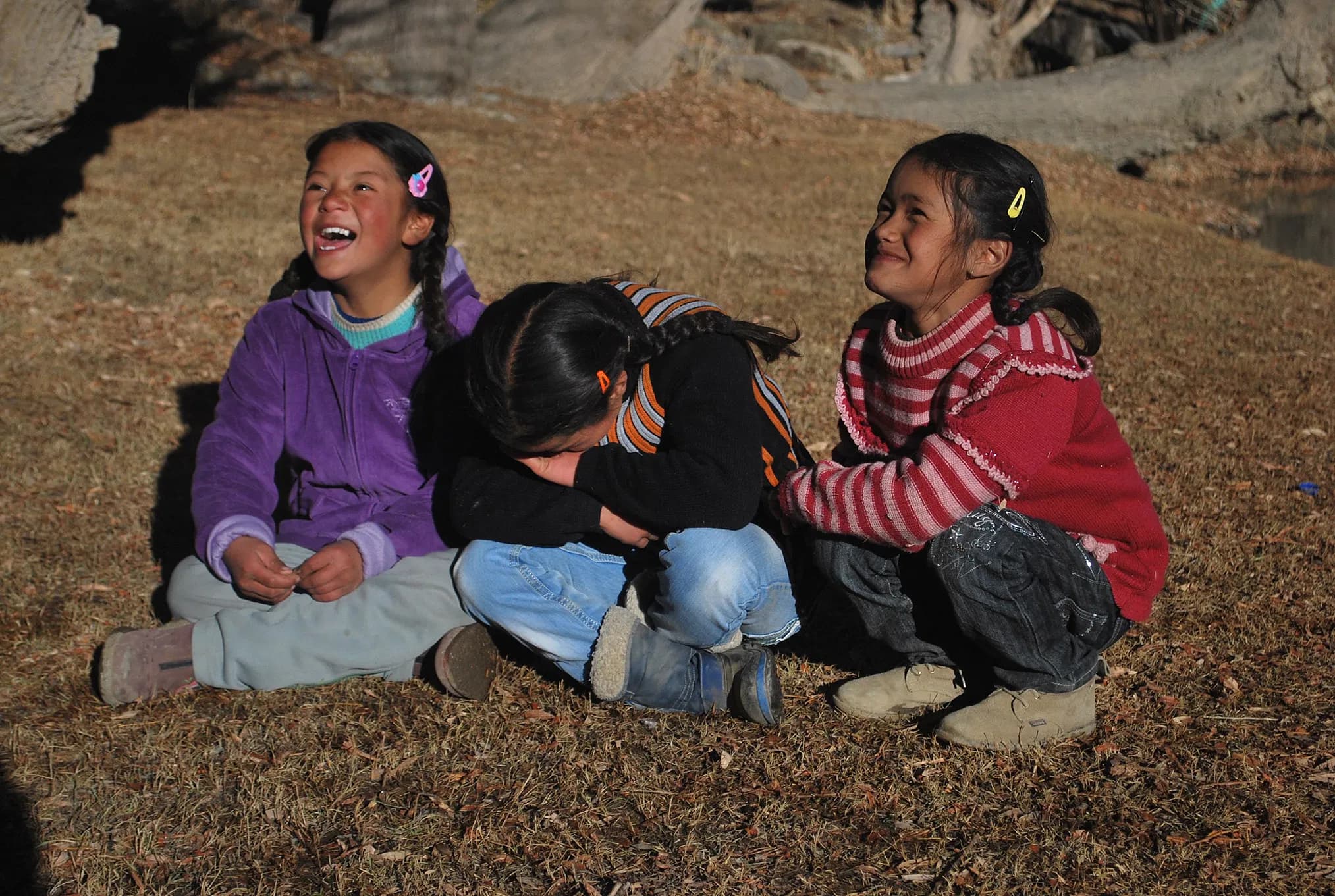 Three young Ladakhi schoolgirls sitting together on the grass laughing joyfully in the morning sunlight