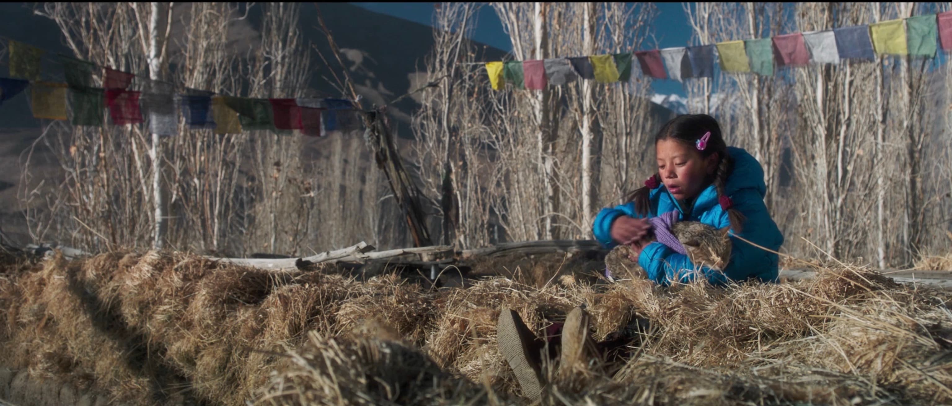 Chuskit lying on a rooftop straw bed cradling her cat under colorful Tibetan prayer flags and mountain peaks